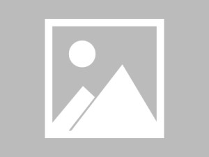 电子商务，数字时代的商业革命，行业领先洞察与行业趋势解析！